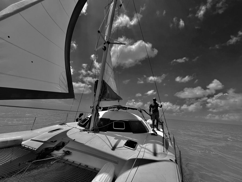 Mast base and deck hardware with organized lines
